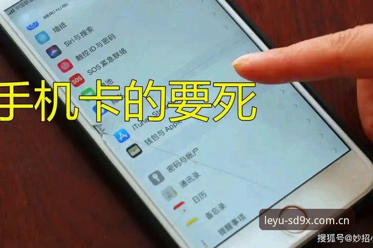 乐鱼中国区下载攻略：从卡顿到流畅，一个篮球迷的48小时实测记录